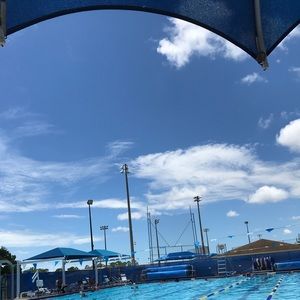 Meet your Posher, Cynthia